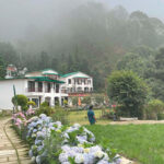 just naturals property images 3