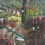 just naturals property images 5